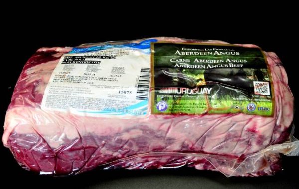 LOMO ALTO SUDAMÉRICA