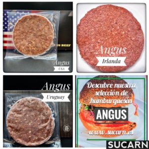 Descubre-nuestras-hamburgesas-ANGUS