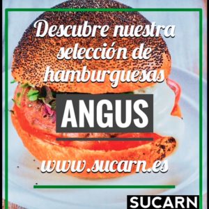 Descubre nuestras hamburguesas Premium