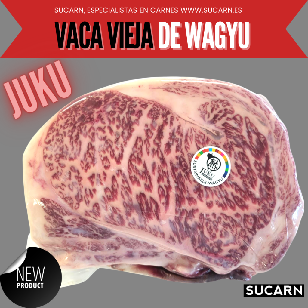 JUKU, vaca vieja de wagyu de Japón