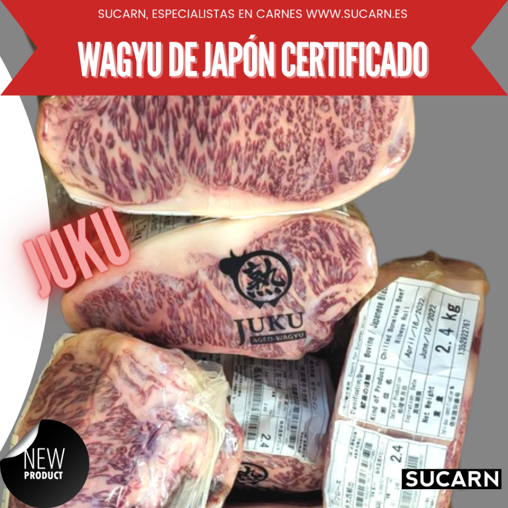 JUKU, vaca vieja de wagyu de Japón