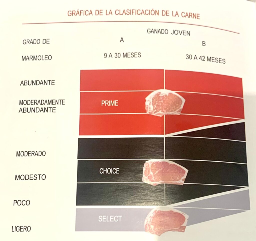 Clasificación carne según marmoleo